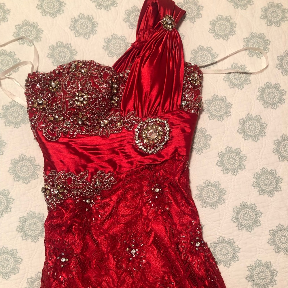 Terani couture dress